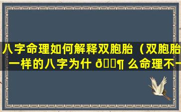 八字命理如何解释双胞胎（双胞胎一样的八字为什 🐶 么命理不一样）